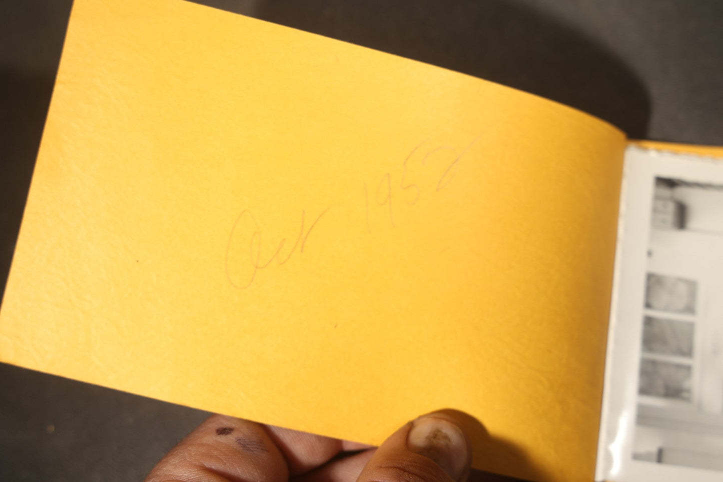 Vintage Halloween Snapshot Photo Album of a Child in Black Cat Costume with Jack-O-Lanterns and Carved Pumpkins, October 1952, Woodman Photo
