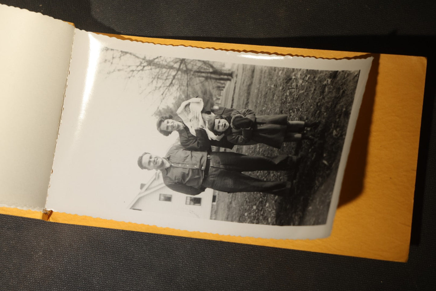 Vintage Halloween Snapshot Photo Album of a Child in Black Cat Costume with Jack-O-Lanterns and Carved Pumpkins, October 1952, Woodman Photo