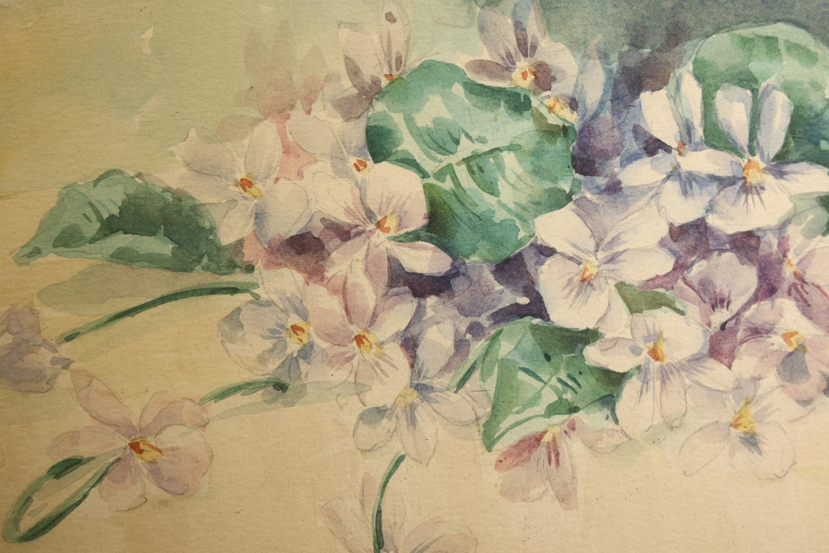 Antique Framed Watercolor Painting on Paper, Still Life of Violets, Signed Frances Kaull, 1911