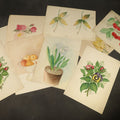 Lot 151 - Grouping of 10 Antique Unframed Watercolor Paintings on Paper by H. Wilder, Floral and Still Life Subjects Including Roses with Pansy, Potted Hyacinth, Cherries on a Branch, and Fruit Compote, 1860s-1880s