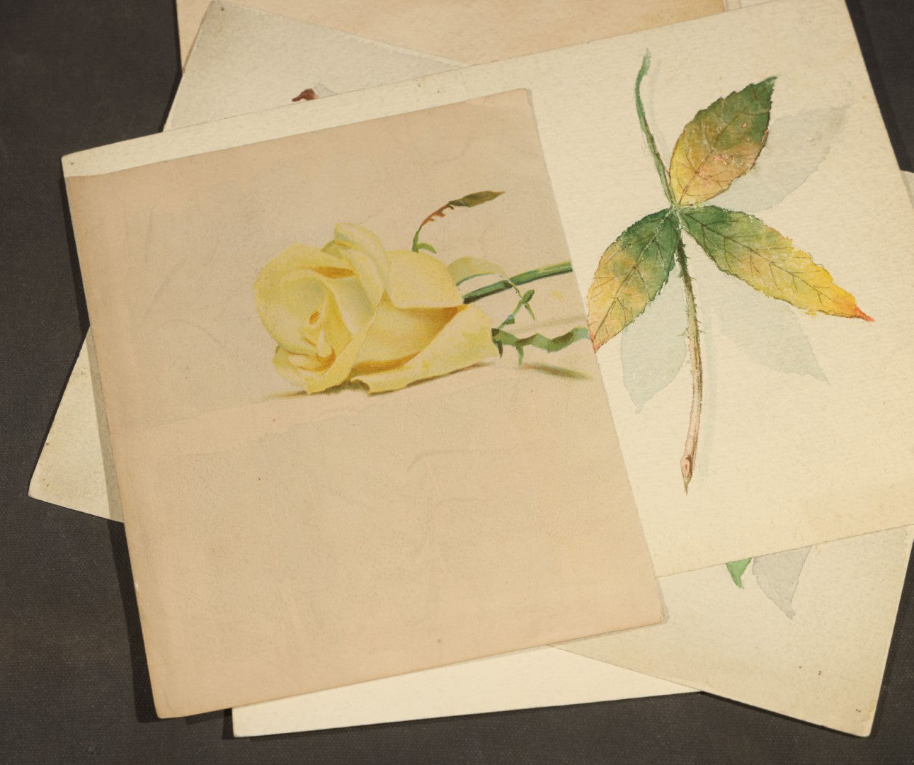 Grouping of 10 Antique Unframed Watercolor Paintings on Paper by H. Wilder, Floral and Still Life Subjects including Roses with Pansy, Potted Hyacinth, Cherries on a Branch, and Fruit Compote, 1860s-1880s