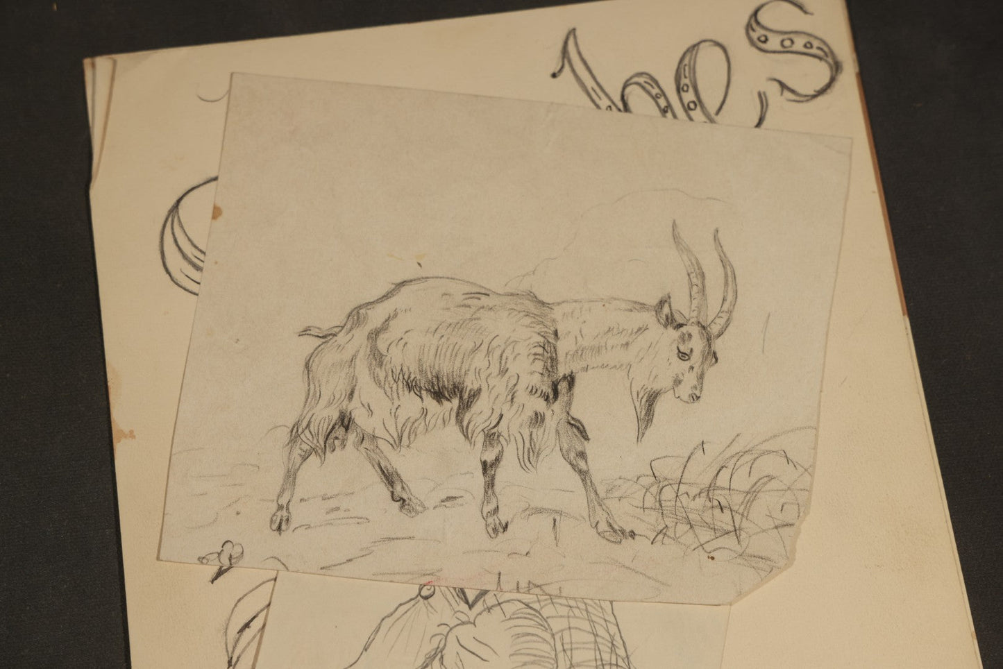 Grouping of 20 Antique Pen and Pencil Sketches including Portraits, Coastal Scene, Goat, Flowers, and "An Old Salt" Pipe Smoker, with Decorative "Sketches" Cover Sheet