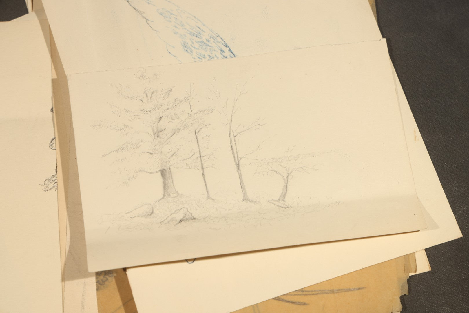 Grouping of 20 Antique Pen and Pencil Sketches including Portraits, Coastal Scene, Goat, Flowers, and "An Old Salt" Pipe Smoker, with Decorative "Sketches" Cover Sheet