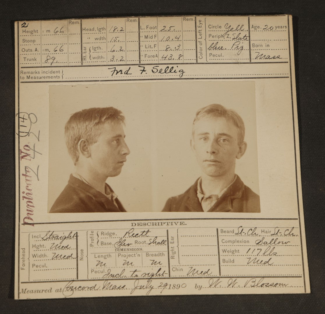 Antique Real-Photo Police Mugshot and Arrest Card for Fred. F. Sellig, Arrested for Larceny, Massachusetts Reformatory, Concord, Massachusetts, 1890