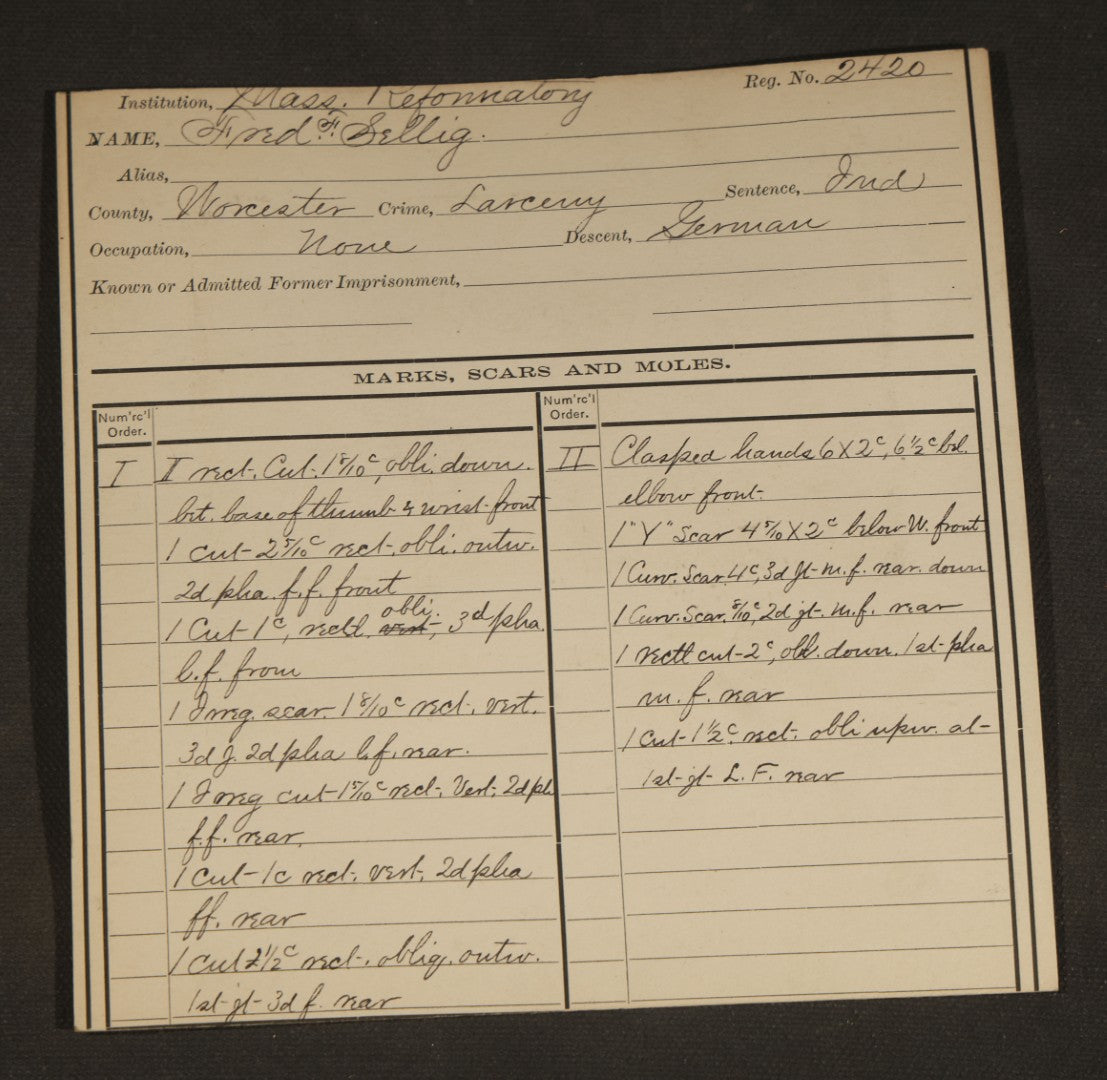 Antique Real-Photo Police Mugshot and Arrest Card for Fred. F. Sellig, Arrested for Larceny, Massachusetts Reformatory, Concord, Massachusetts, 1890