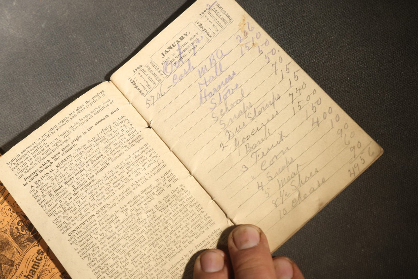 Grouping of Three Antique Dr. Pierce's Advertising Booklets including Two "Memorandum and Account Book" and One "Hand Book," World's Dispensary Medical Association, Buffalo, New York
