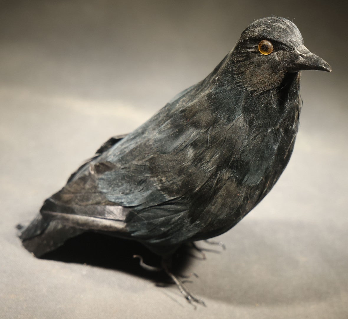 Modern Feathered Black Crow Halloween Decoration with Glass Eyes and Bendable Wire Talons