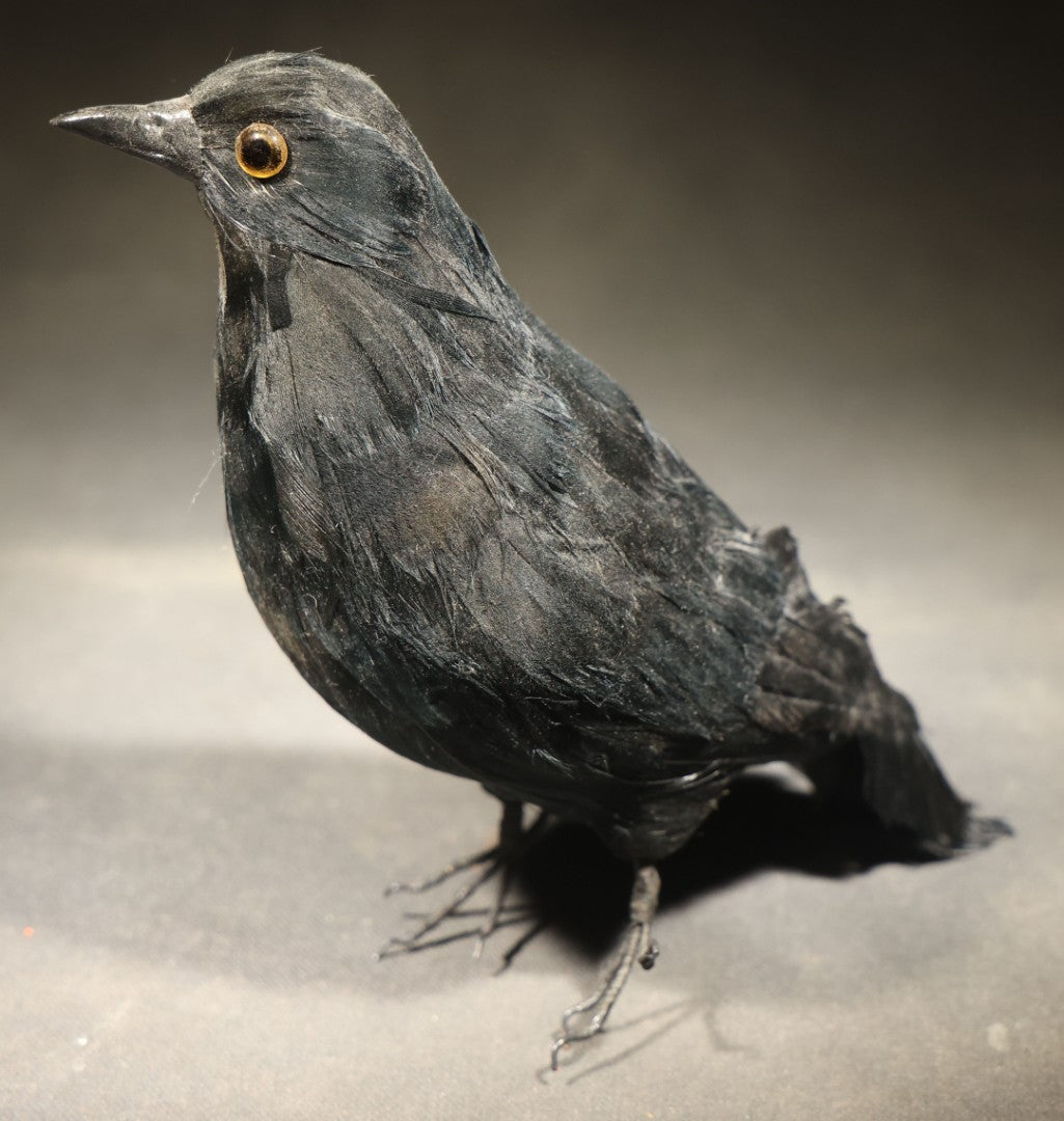 Modern Feathered Black Crow Halloween Decoration with Glass Eyes and Bendable Wire Talons