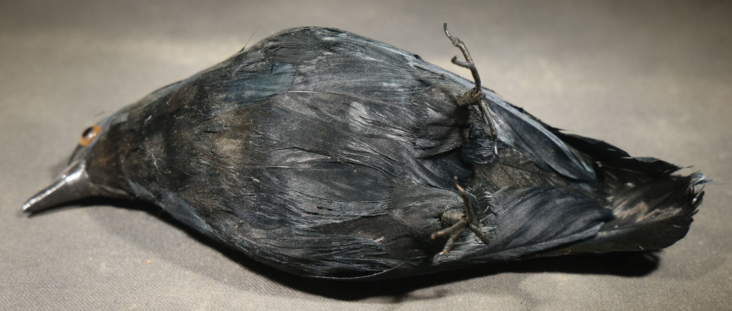 Modern Feathered Black Crow Halloween Decoration with Glass Eyes and Bendable Wire Talons