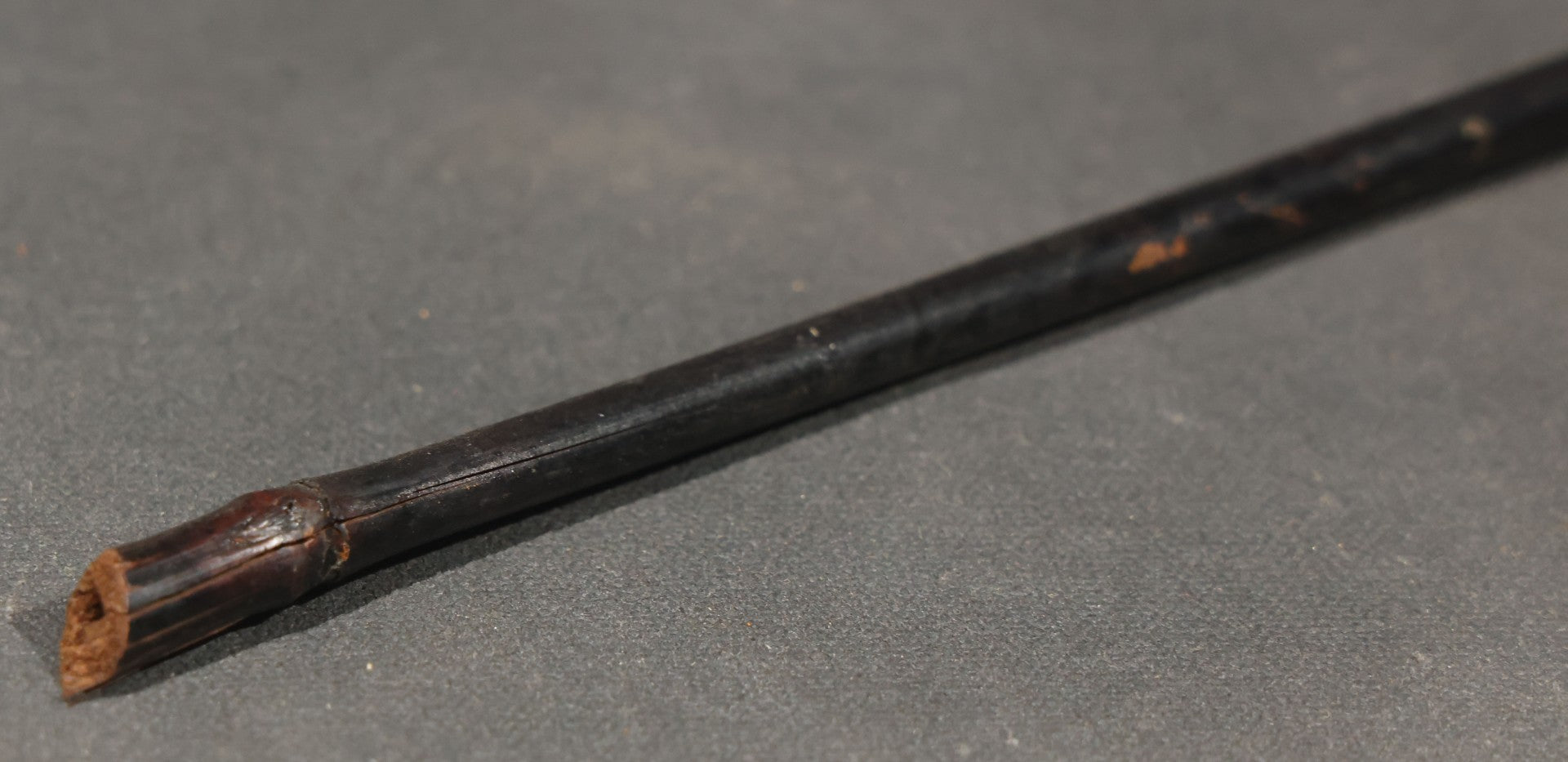 Antique Swagger Stick with Figural Dog Head Handle and Bamboo Shaft