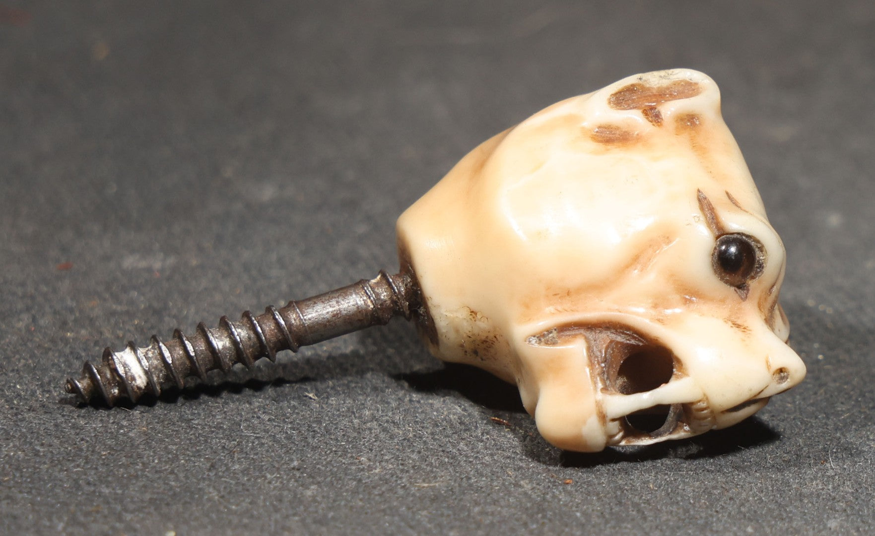 Antique Carved Bone Panther Head Cane or Swagger Stick Topper with Glass Eyes and Threaded Metal Shaft
