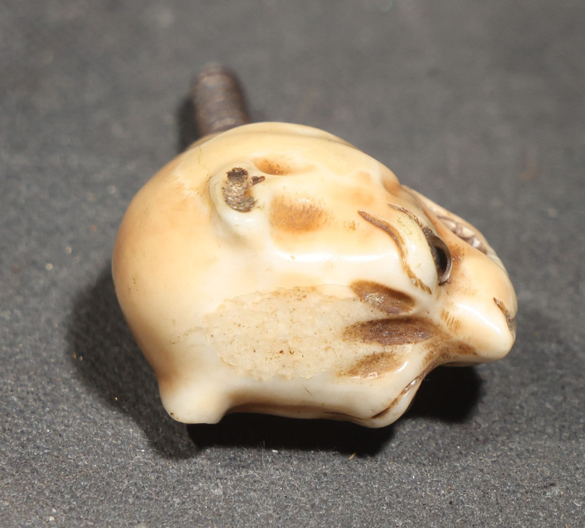 Antique Carved Bone Panther Head Cane or Swagger Stick Topper with Glass Eyes and Threaded Metal Shaft