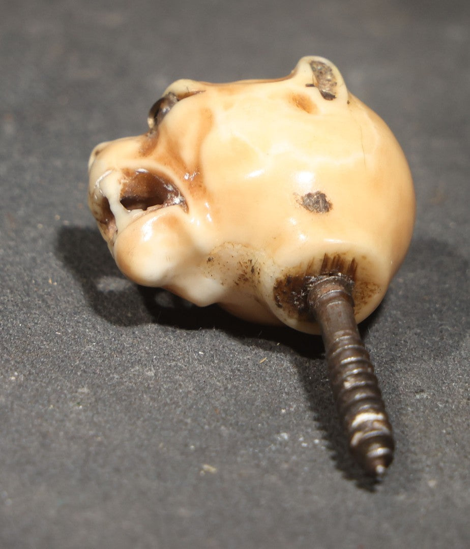 Antique Carved Bone Panther Head Cane or Swagger Stick Topper with Glass Eyes and Threaded Metal Shaft