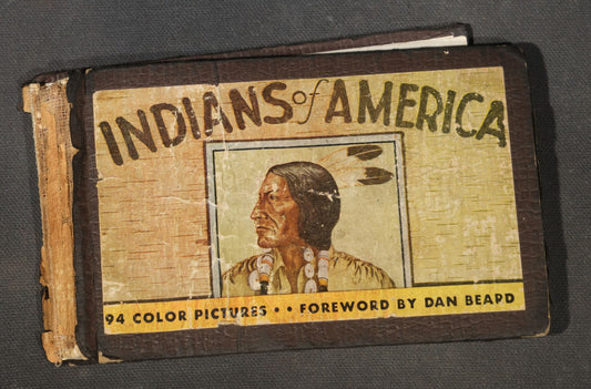 "Indians of America" Vintage Illustrated Book by Lillian Davids Fazzini, Foreword by Dan Beard, 94 Color Pictures, Published by Whitman Publishing Company, Racine, Wisconsin, 1935, Poor Condition
