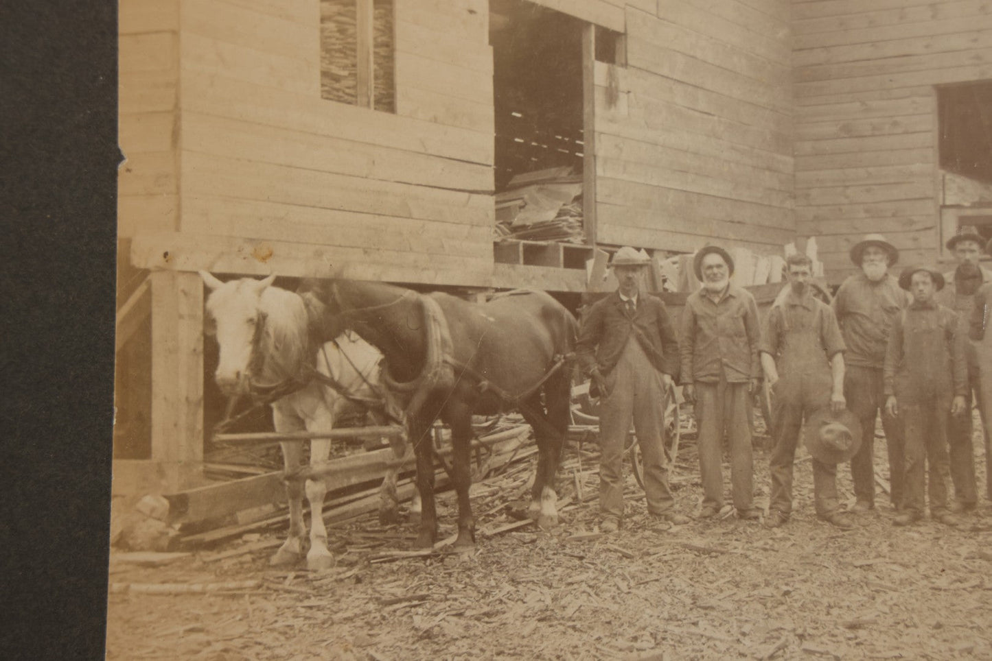 Antique Board-Mounted Occupational Photograph of 11 Mill Workers and Two Horses, Pencil-Inscribed "George Burnham - Mill"