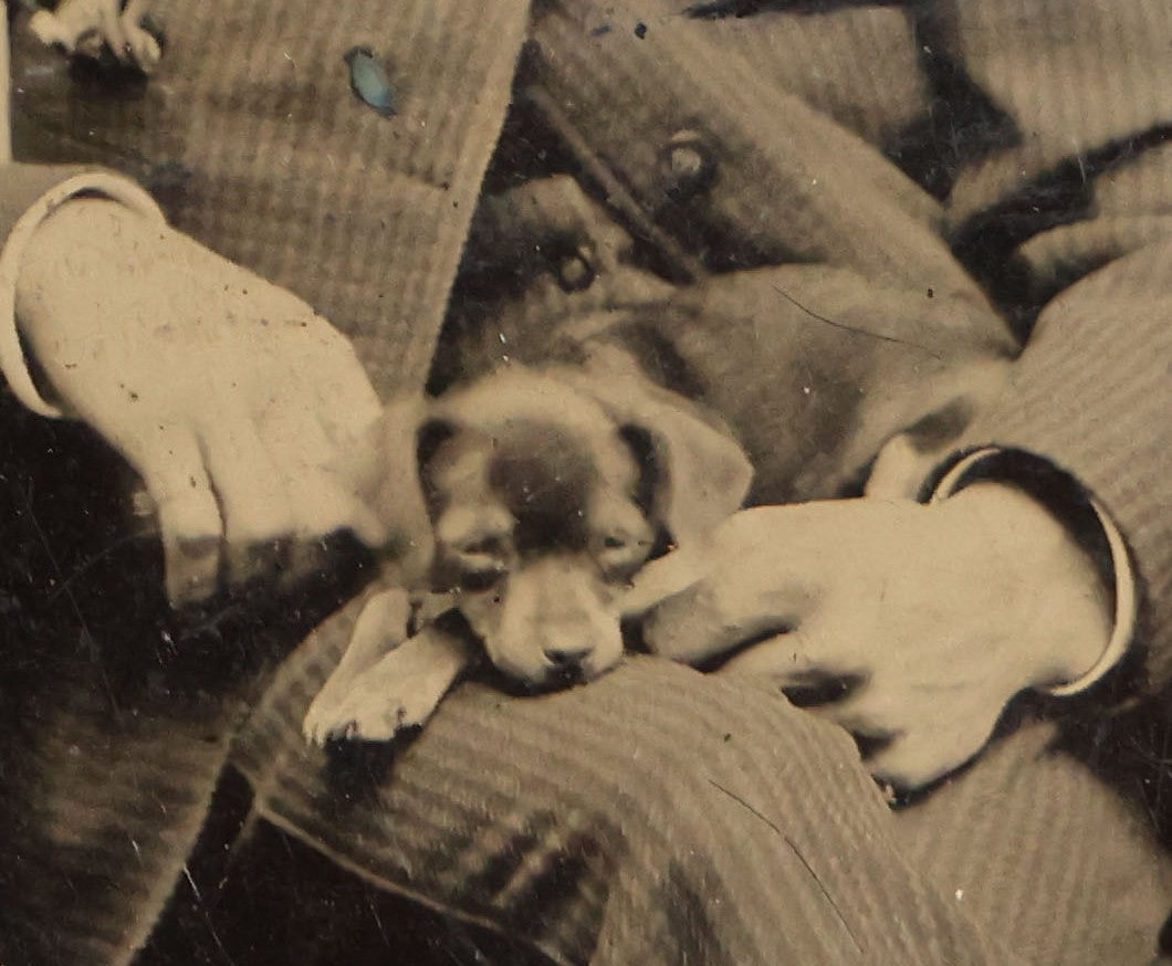 Antique Foldered Tintype Photograph of a Man Holding a Small Dog