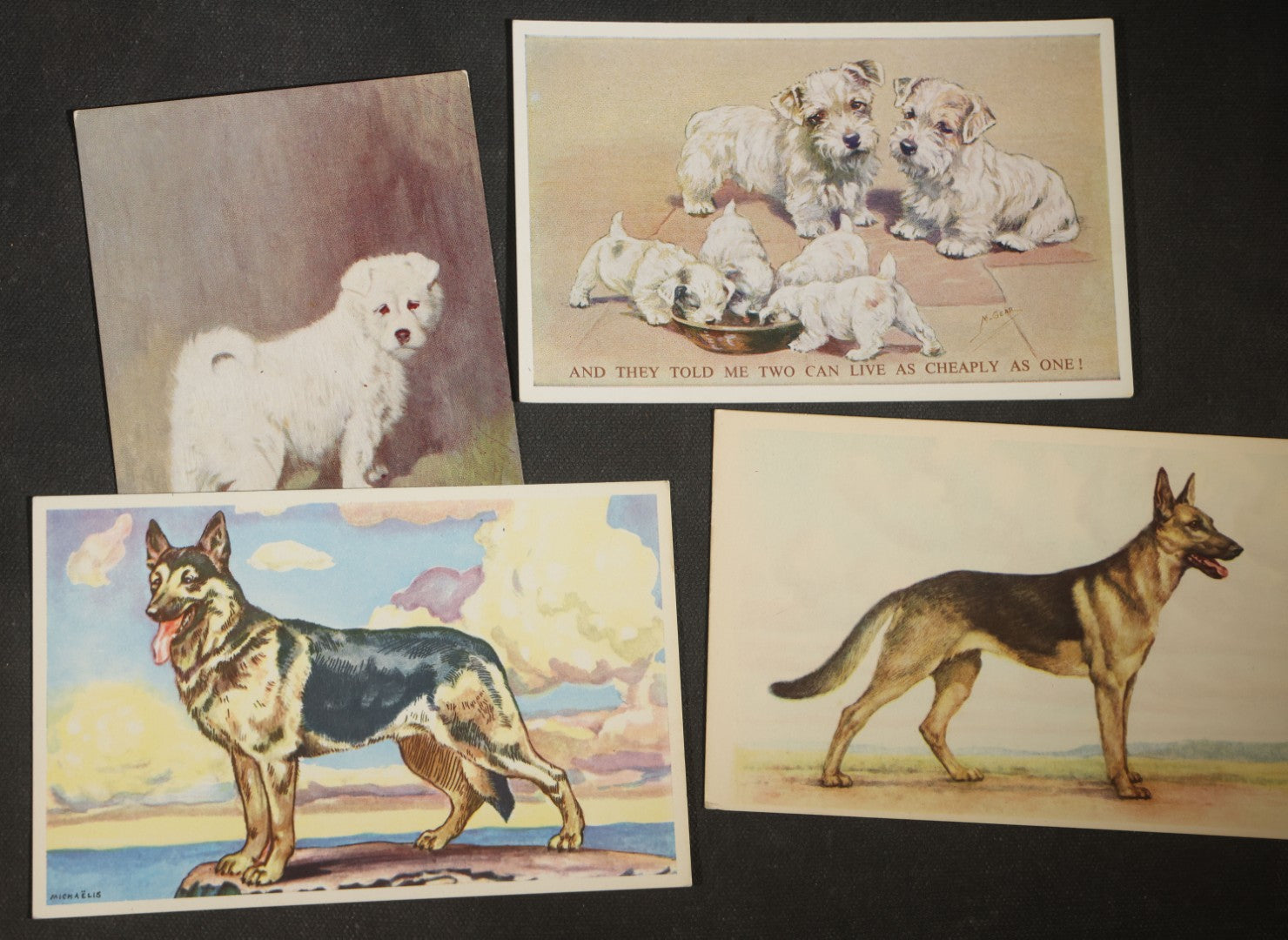 Grouping of Four Vintage Dog Postcards including German Shepherds, Terrier Family, and White Puppy