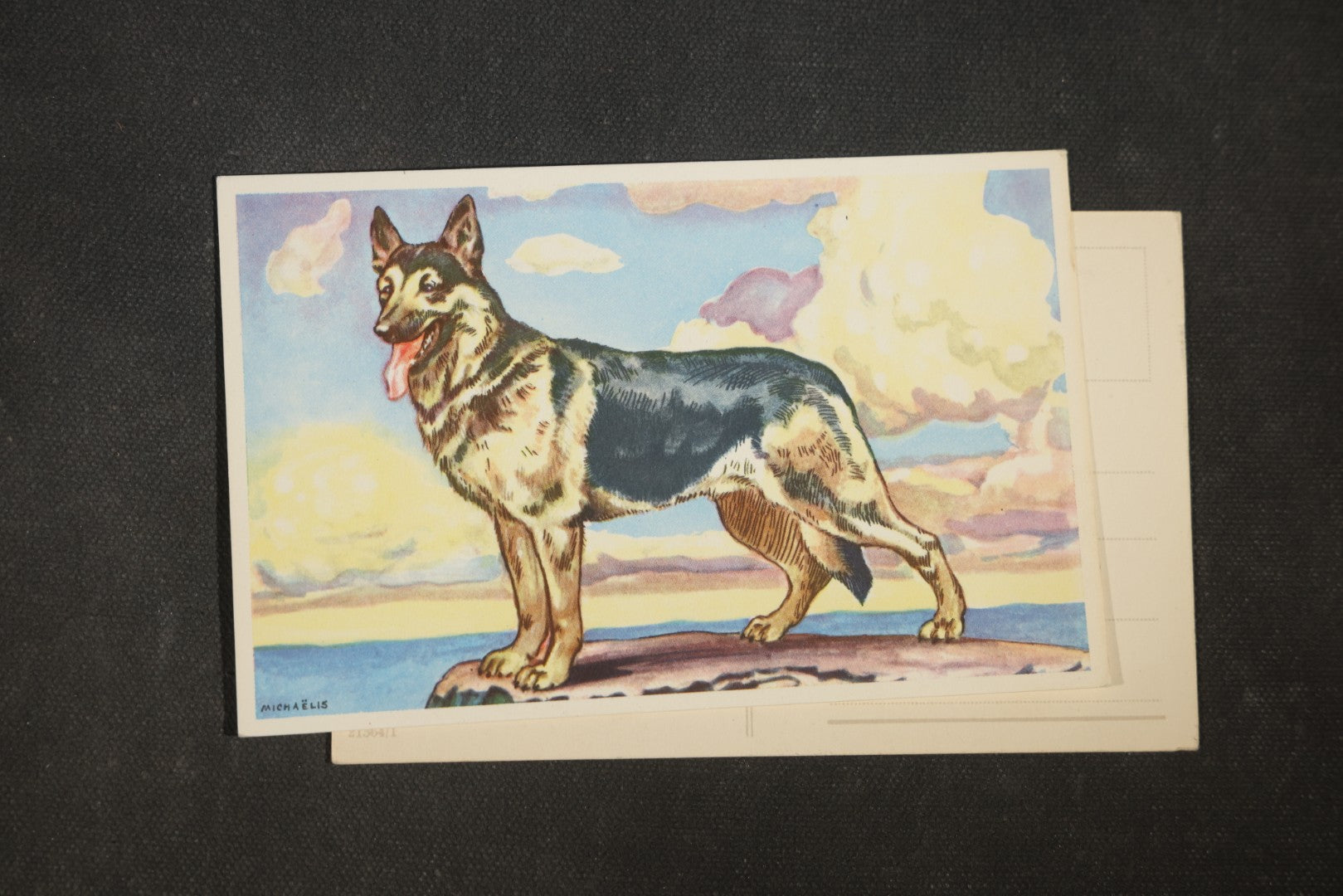 Grouping of Four Vintage Dog Postcards including German Shepherds, Terrier Family, and White Puppy