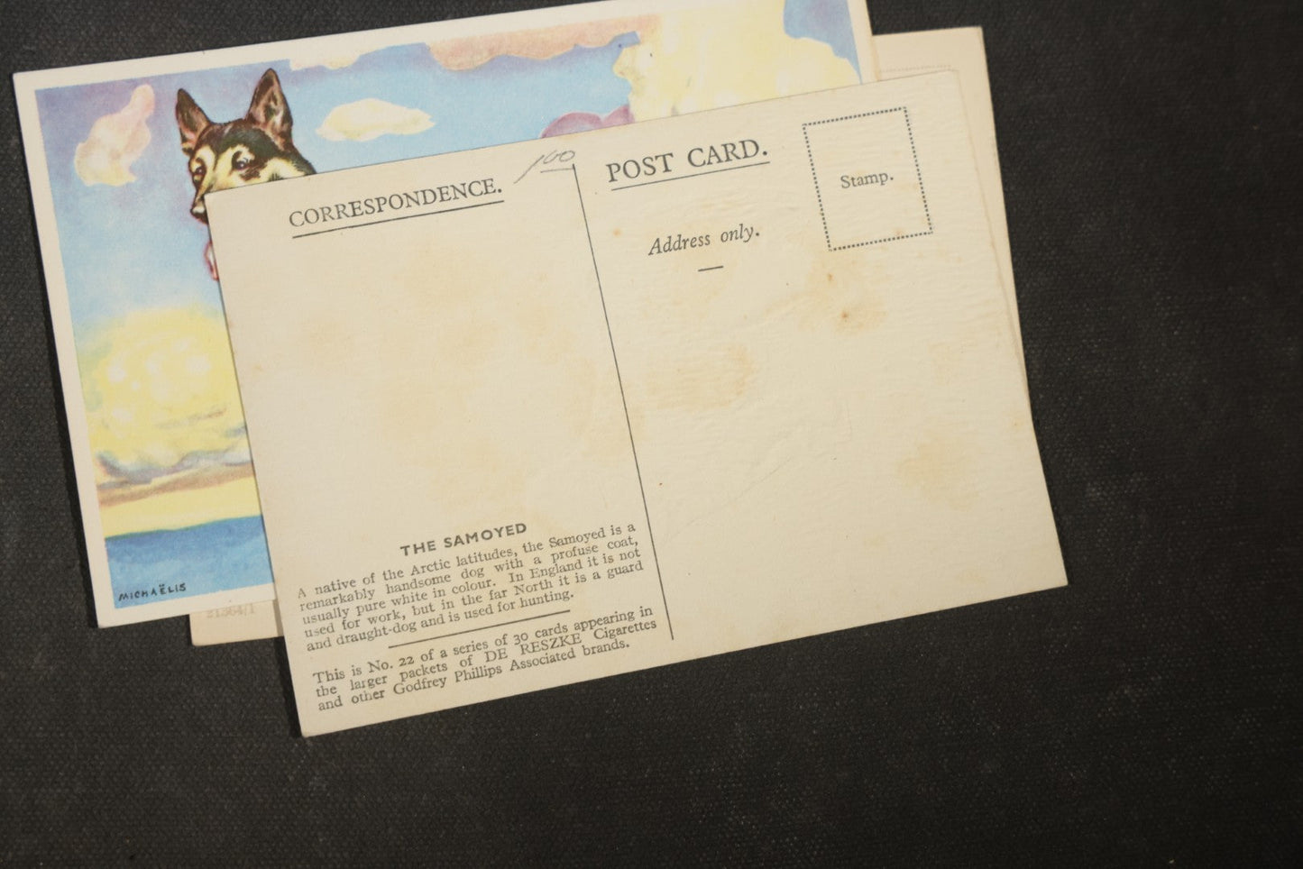Grouping of Four Vintage Dog Postcards including German Shepherds, Terrier Family, and White Puppy