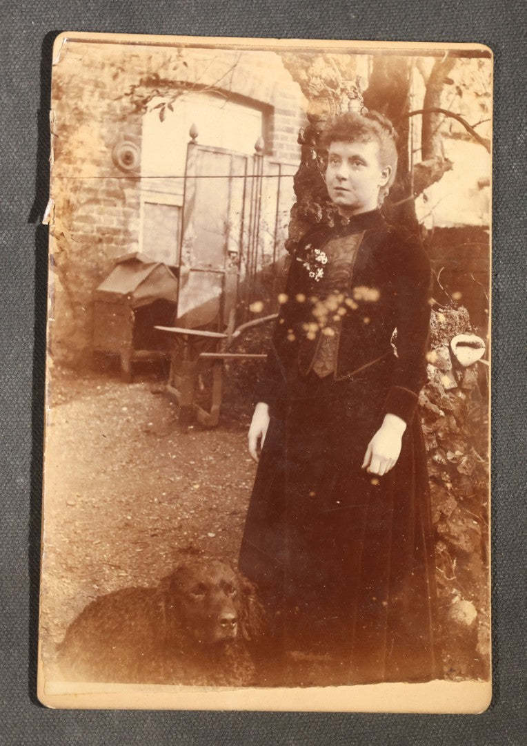 Pictures with Dogs Grouping