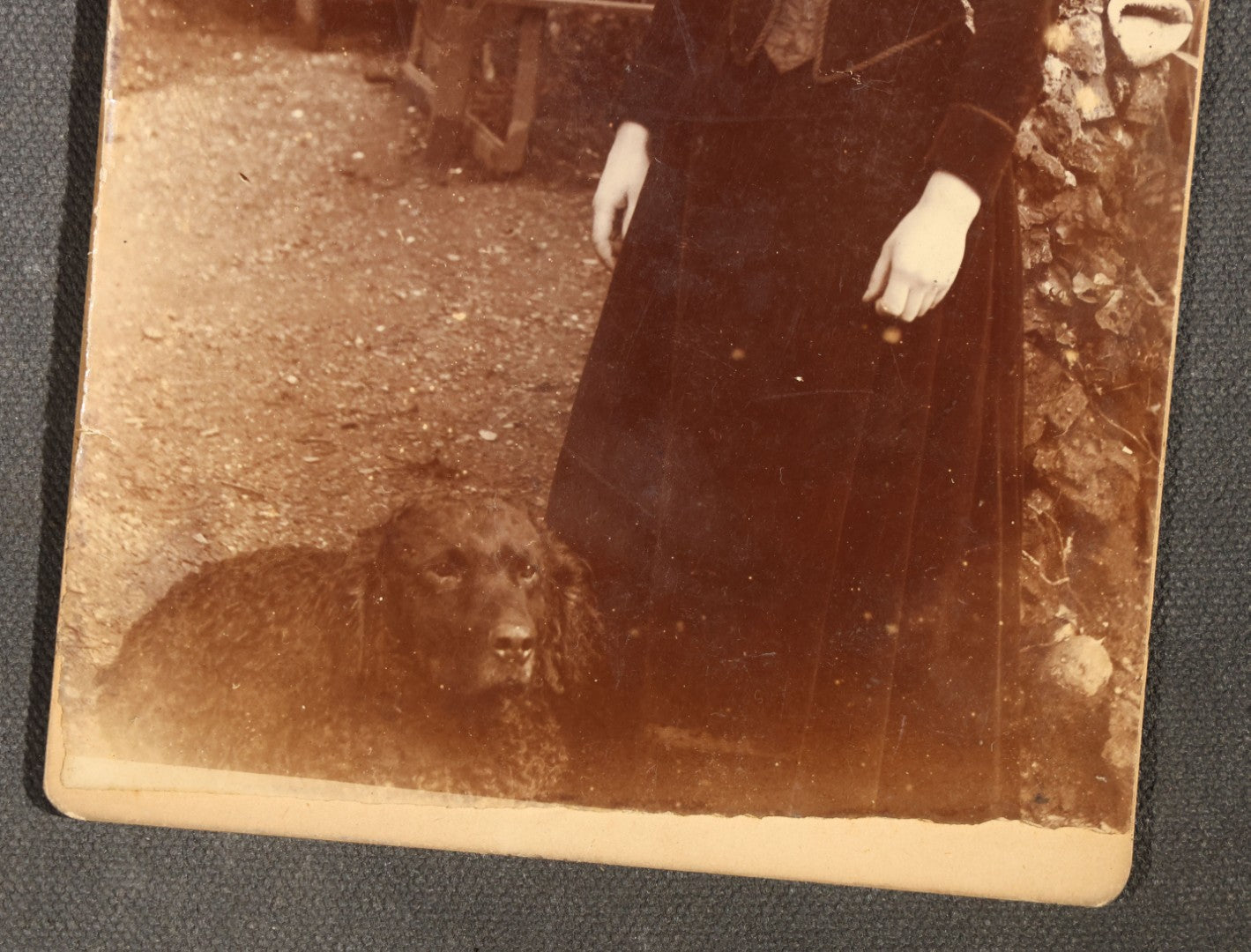 Pictures with Dogs Grouping