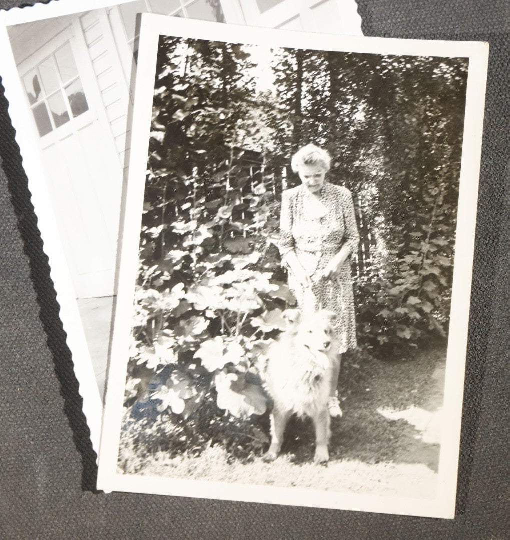 Pictures with Dogs Grouping