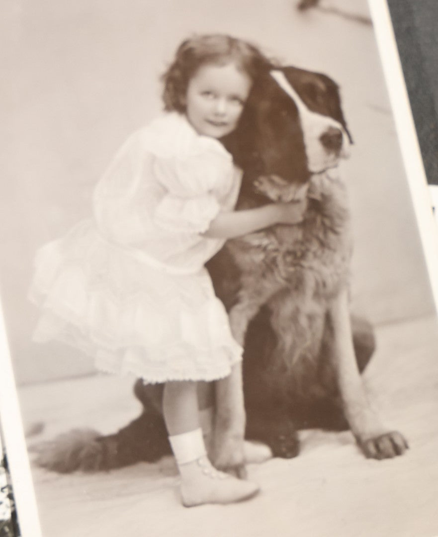 Pictures with Dogs Grouping
