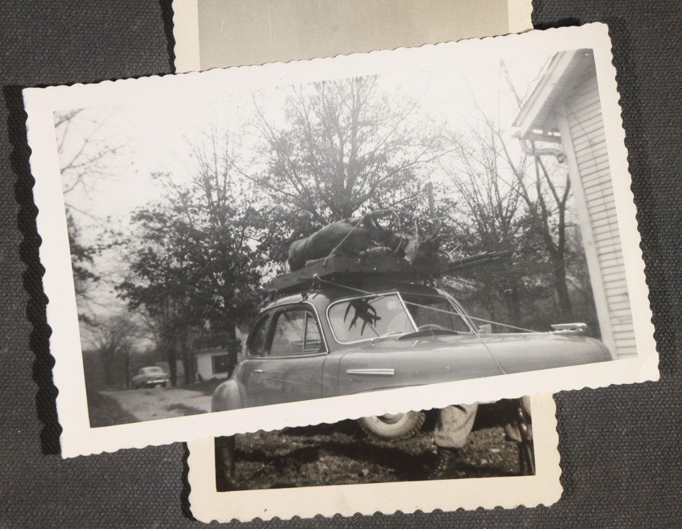 Grouping of 12 Vintage Hunting Snapshot Photographs, Men with Harvested Deer and Birds, Deer on Car Roof, Jeep, Dogs, and Rural Family Scenes, Circa 1940s-1950s