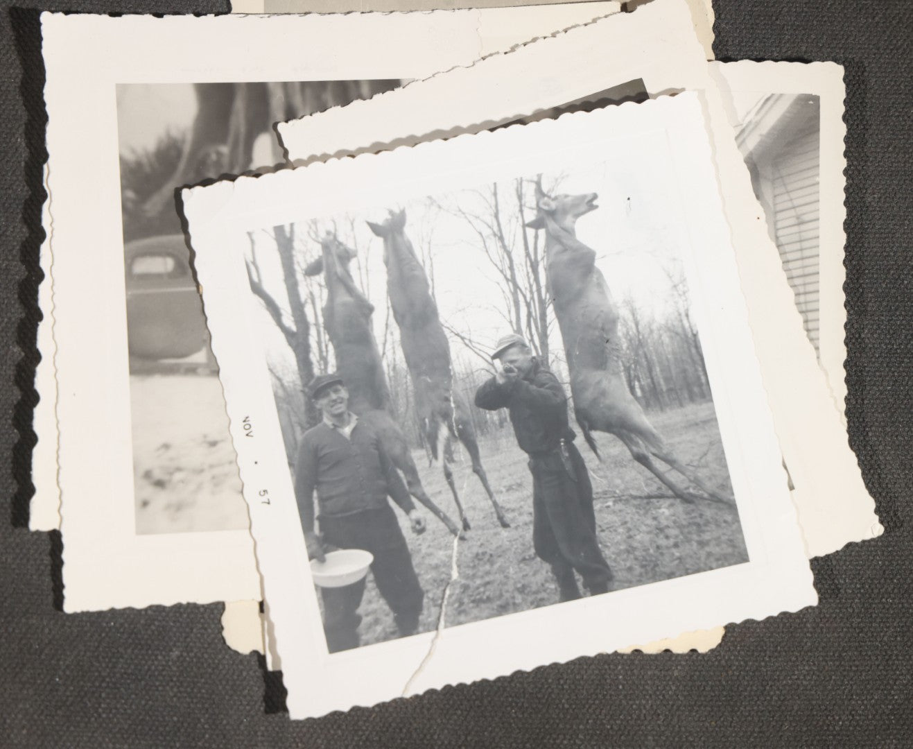 Grouping of 12 Vintage Hunting Snapshot Photographs, Men with Harvested Deer and Birds, Deer on Car Roof, Jeep, Dogs, and Rural Family Scenes, Circa 1940s-1950s