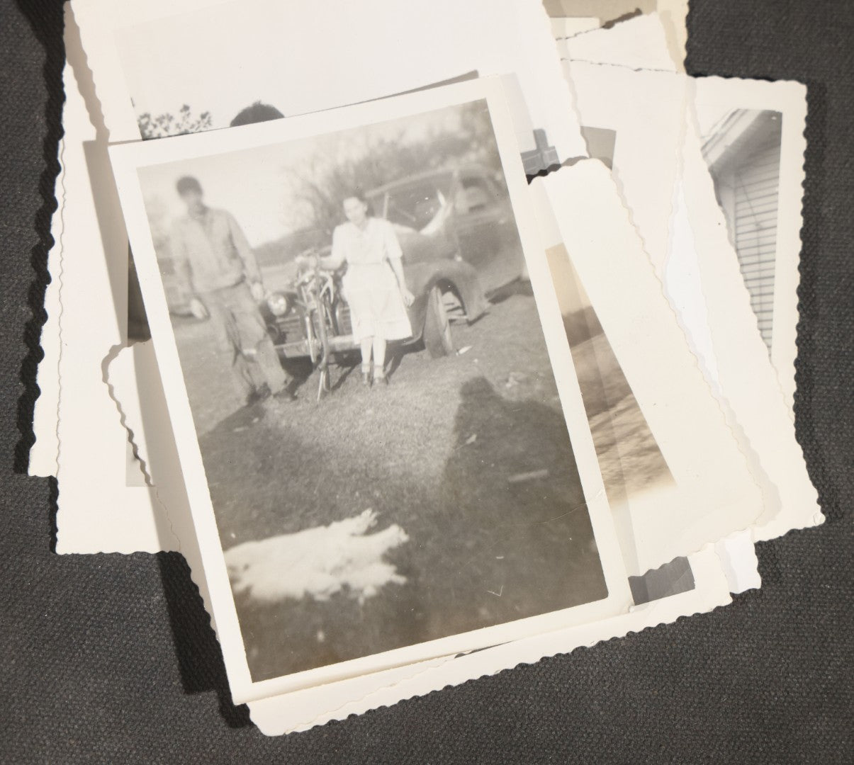 Grouping of 12 Vintage Hunting Snapshot Photographs, Men with Harvested Deer and Birds, Deer on Car Roof, Jeep, Dogs, and Rural Family Scenes, Circa 1940s-1950s