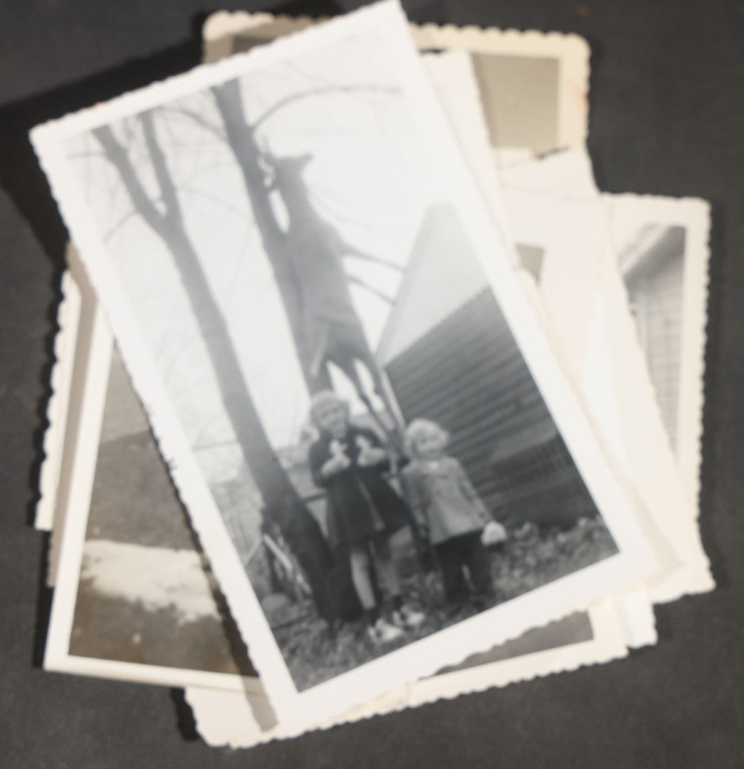 Grouping of 12 Vintage Hunting Snapshot Photographs, Men with Harvested Deer and Birds, Deer on Car Roof, Jeep, Dogs, and Rural Family Scenes, Circa 1940s-1950s