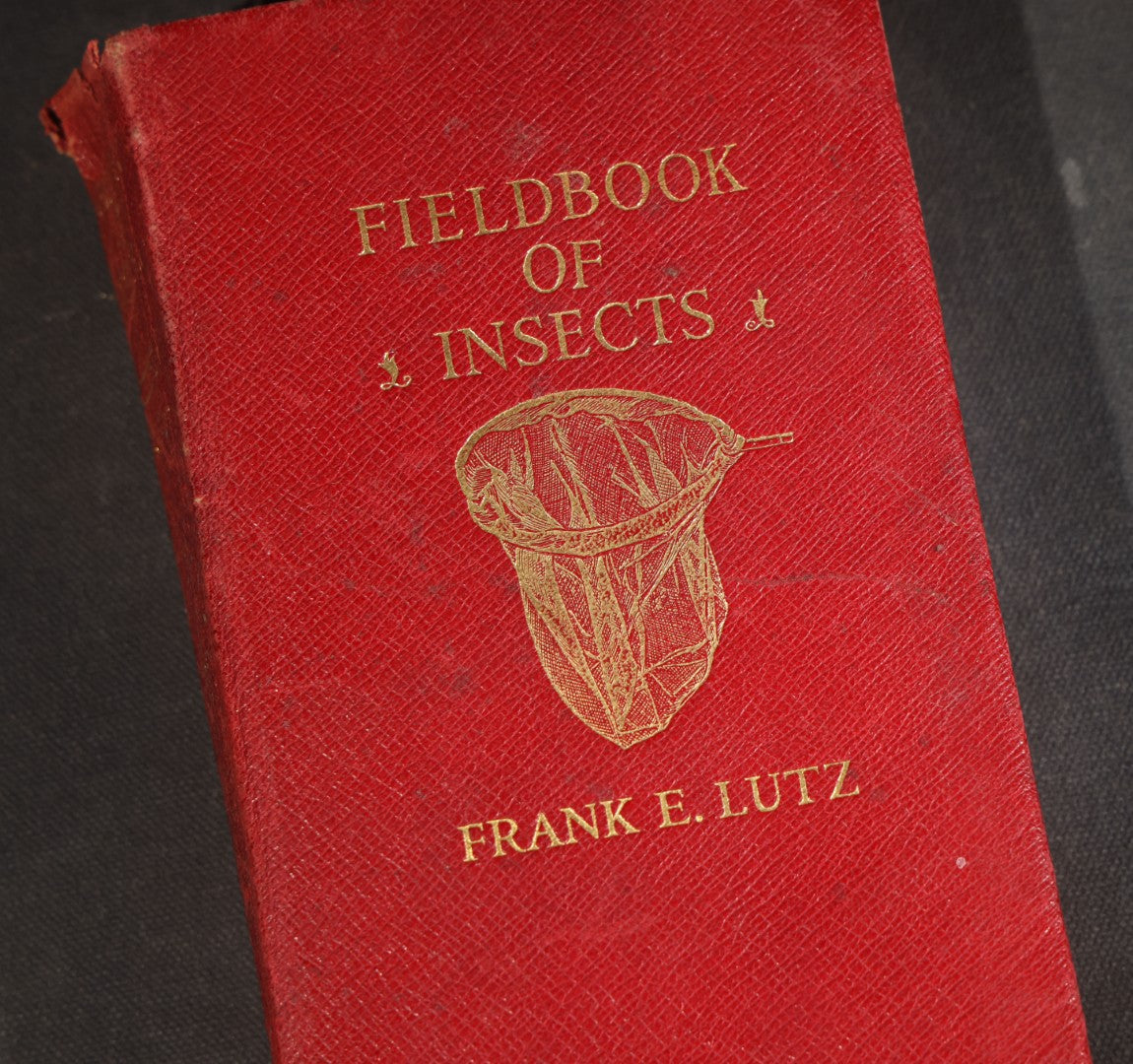 "Field Book of Insects" Antique Illustrated Entomology Book by Frank E. Lutz, Ph.D., Second Edition, Published by G. P. Putnam's Sons, New York, 1921
