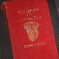 Lot 170 - "Field Book of Insects" Antique Illustrated Entomology Book by Frank E. Lutz, Ph.D., Second Edition, Published by G. P. Putnam's Sons, New York, 1921