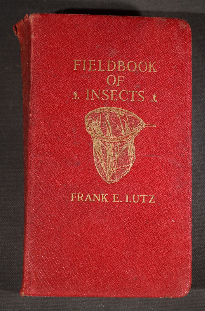 "Field Book of Insects" Antique Illustrated Entomology Book by Frank E. Lutz, Ph.D., Second Edition, Published by G. P. Putnam's Sons, New York, 1921