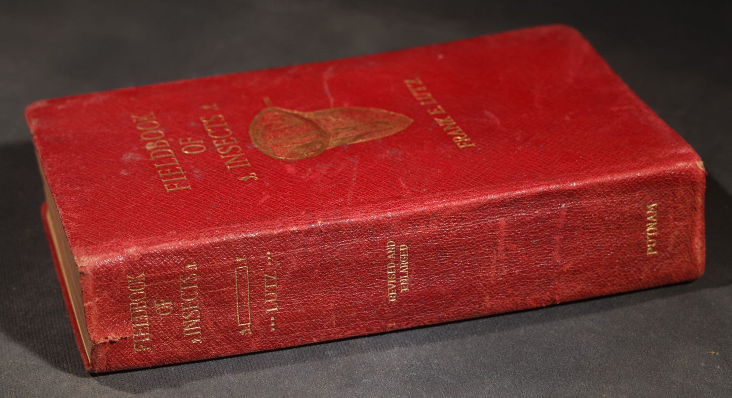 "Field Book of Insects" Antique Illustrated Entomology Book by Frank E. Lutz, Ph.D., Second Edition, Published by G. P. Putnam's Sons, New York, 1921