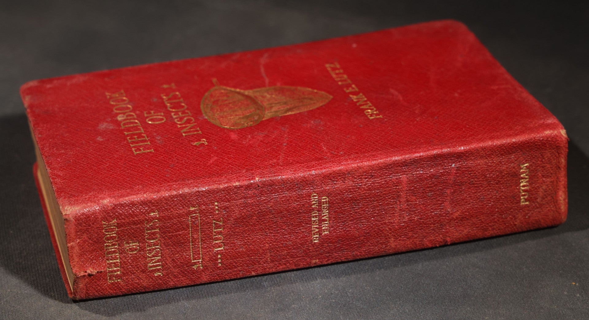 "Field Book of Insects" Antique Illustrated Entomology Book by Frank E. Lutz, Ph.D., Second Edition, Published by G. P. Putnam's Sons, New York, 1921