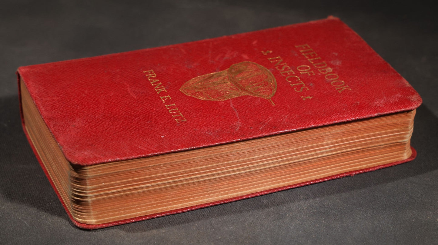 "Field Book of Insects" Antique Illustrated Entomology Book by Frank E. Lutz, Ph.D., Second Edition, Published by G. P. Putnam's Sons, New York, 1921