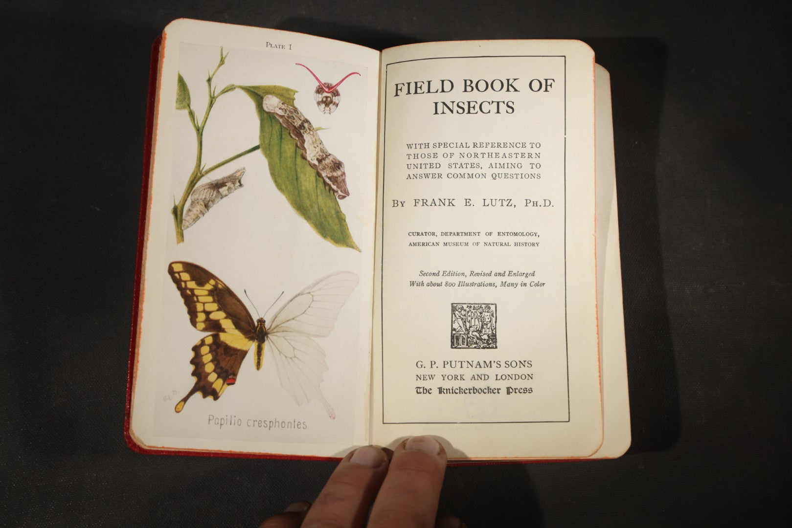 "Field Book of Insects" Antique Illustrated Entomology Book by Frank E. Lutz, Ph.D., Second Edition, Published by G. P. Putnam's Sons, New York, 1921
