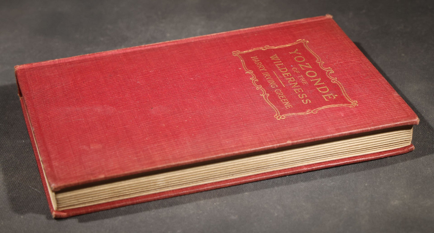 "Yozonde of the Wilderness" Antique Fiction Book by Harry Irving Greene with Color Frontispiece, Published by Desmond FitzGerald Inc., New York, 1916