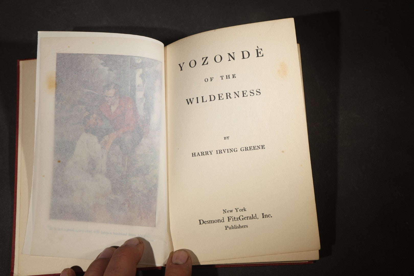 "Yozonde of the Wilderness" Antique Fiction Book by Harry Irving Greene with Color Frontispiece, Published by Desmond FitzGerald Inc., New York, 1916