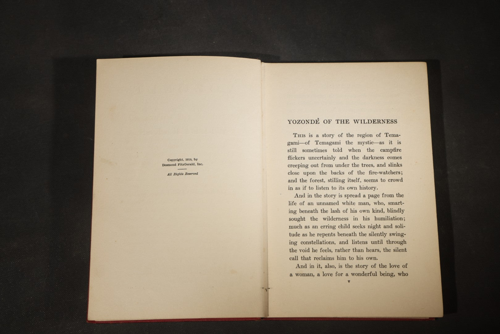 "Yozonde of the Wilderness" Antique Fiction Book by Harry Irving Greene with Color Frontispiece, Published by Desmond FitzGerald Inc., New York, 1916