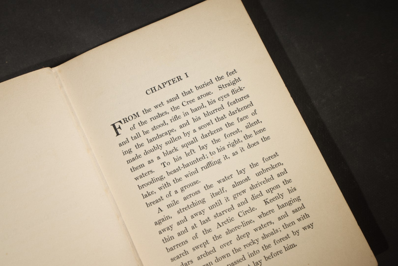 "Yozonde of the Wilderness" Antique Fiction Book by Harry Irving Greene with Color Frontispiece, Published by Desmond FitzGerald Inc., New York, 1916