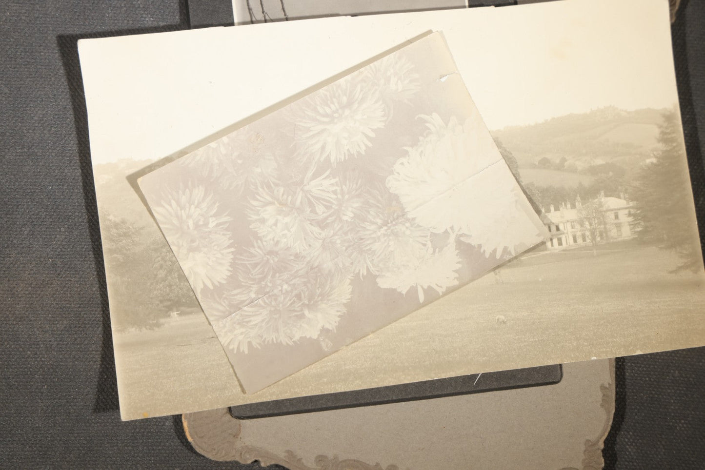 Grouping of 30+ Antique Board-Mounted, Cabinet Card, and Unmounted Photographs including Victorian and Edwardian Portraits, Landscapes, and Group Scenes