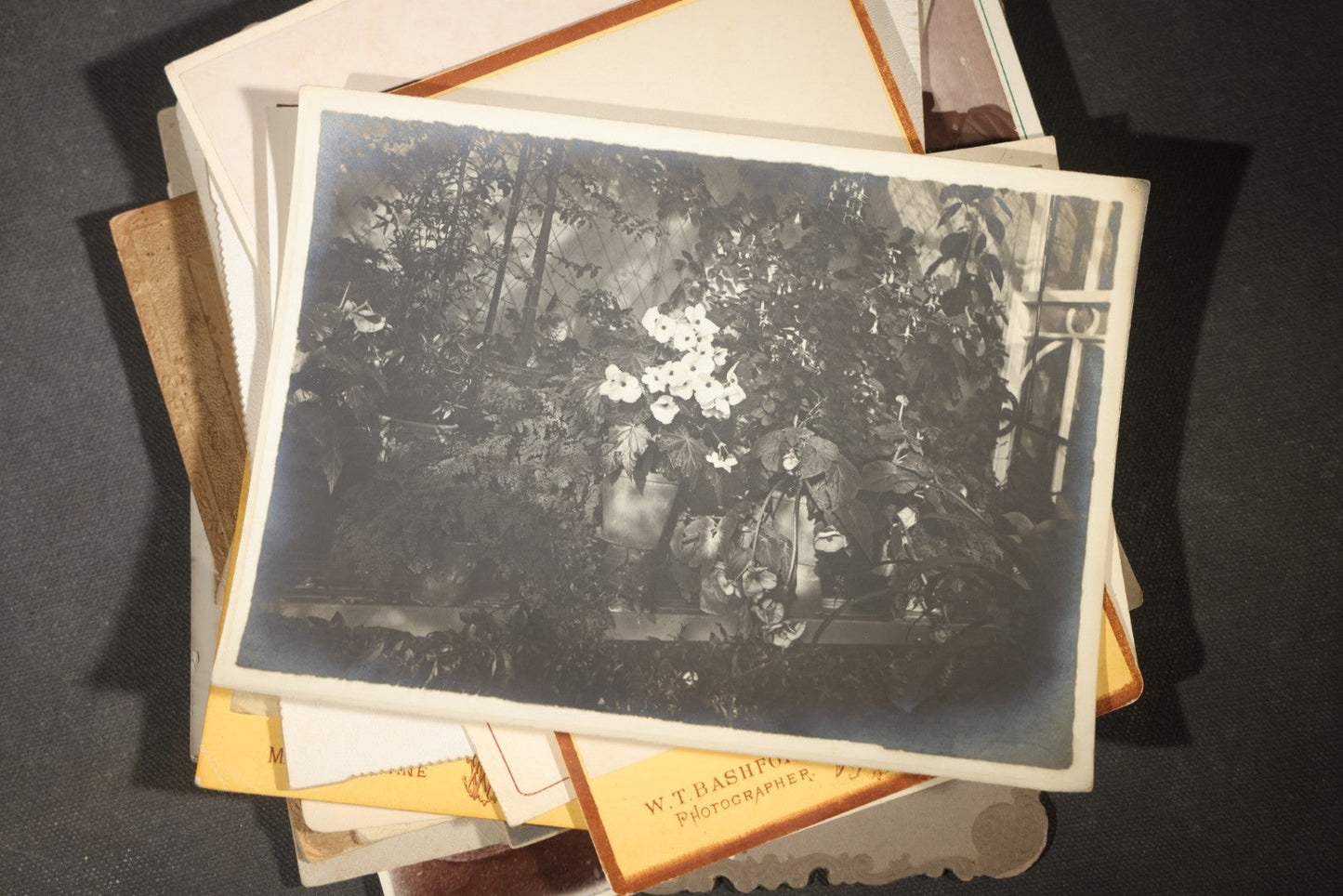 Grouping of 30+ Antique Board-Mounted, Cabinet Card, and Unmounted Photographs including Victorian and Edwardian Portraits, Landscapes, and Group Scenes