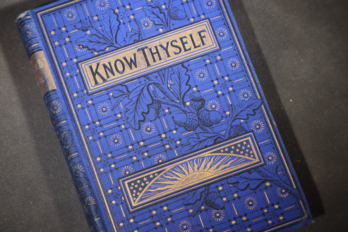 "The Science of Life; or, Self-Preservation" Antique Medical Book by George Howard Jones, M.D., with Fold-Out National Medical Association Resolution, Published by the Peabody Medical Institute, Boston, Massachusetts, 1881
