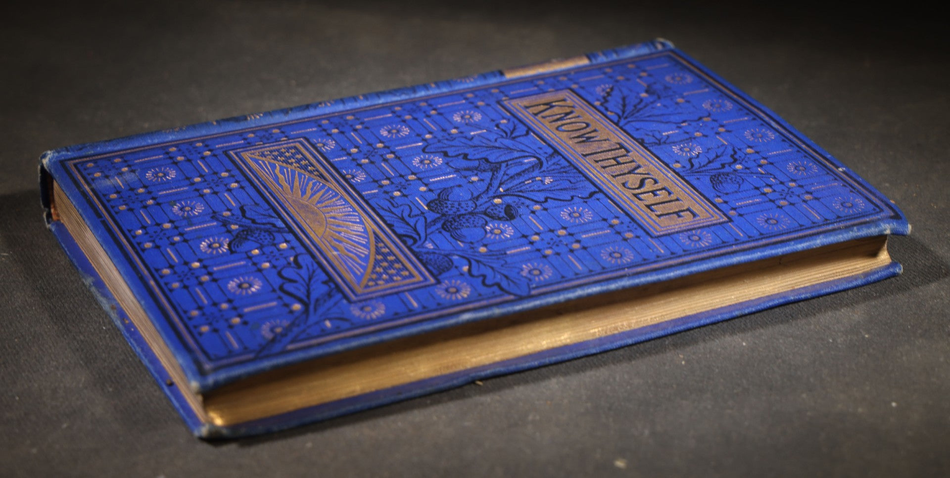 "The Science of Life; or, Self-Preservation" Antique Medical Book by George Howard Jones, M.D., with Fold-Out National Medical Association Resolution, Published by the Peabody Medical Institute, Boston, Massachusetts, 1881