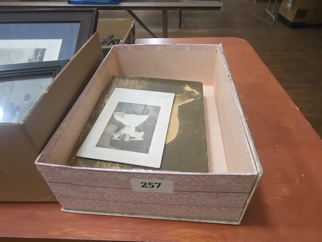 box lot of photos