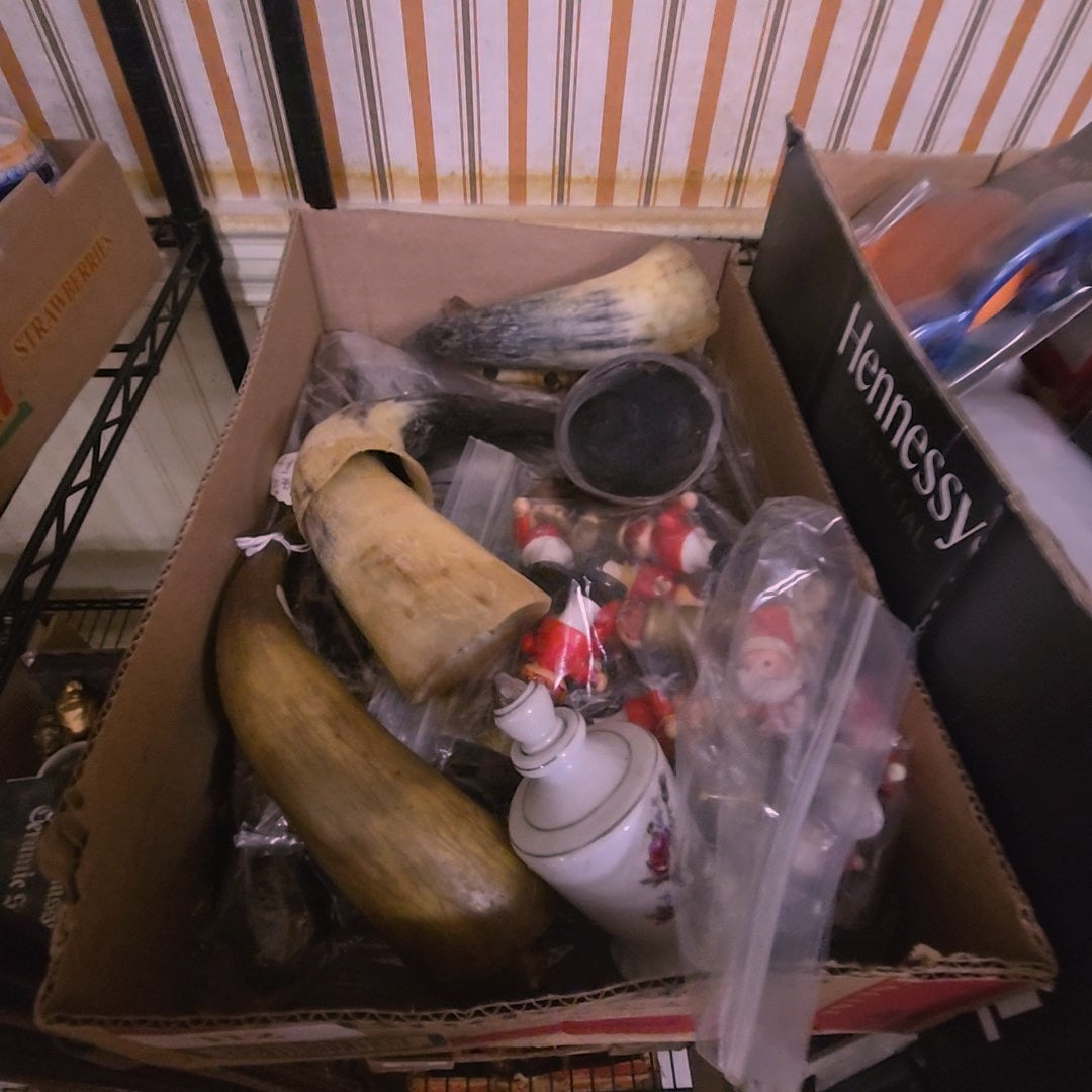 box lot with animal horns and other Smalls
