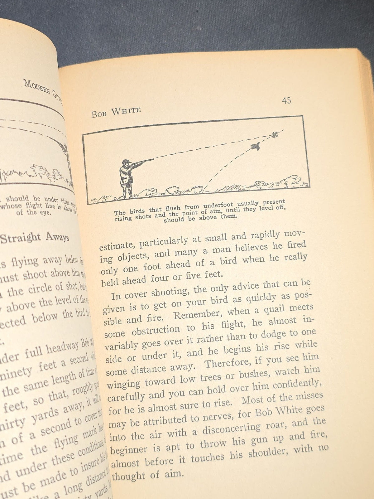 "Modern Guncraft: Hitting vs. Missing" Vintage Illustrated Shotgun and Upland Bird Hunting Book by Dr. William A. Bruette, Published by Nessmuk Library, New York, 1940