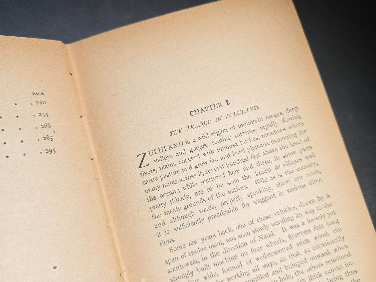 "Hendricks the Hunter; or, The Border Farm: A Tale of Zululand" Antique Illustrated Adventure Book by W. H. G. Kingston, Edgewood Edition, Published by Edgewood Publishing Company